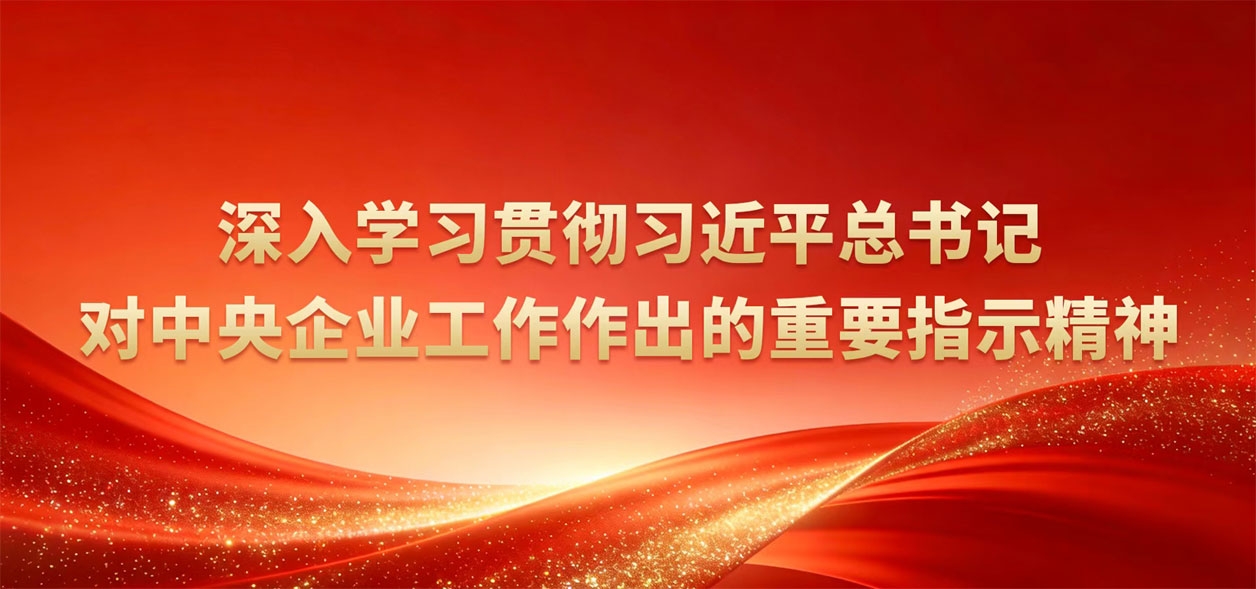 深刻进建贯彻习近平总书记对中央企业工作作出的沉要批示心灵