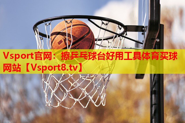 Vsport官网：擦乒乓球台好用工具体育买球网站