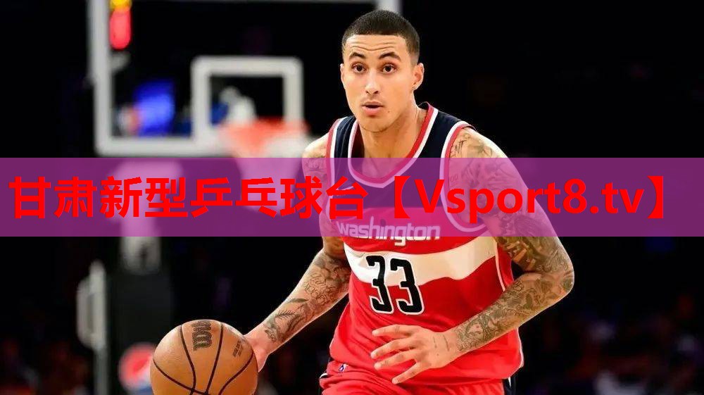 甘肃新型乒乓球台