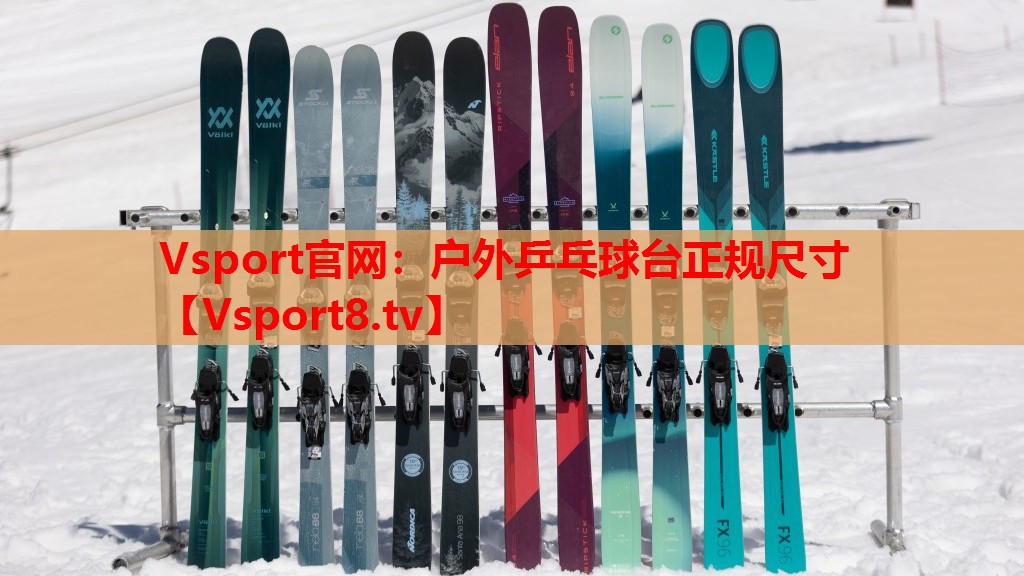 Vsport官网：户外乒乓球台正规尺寸