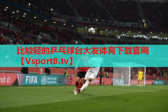 比较轻的乒乓球台大发体育下载官网