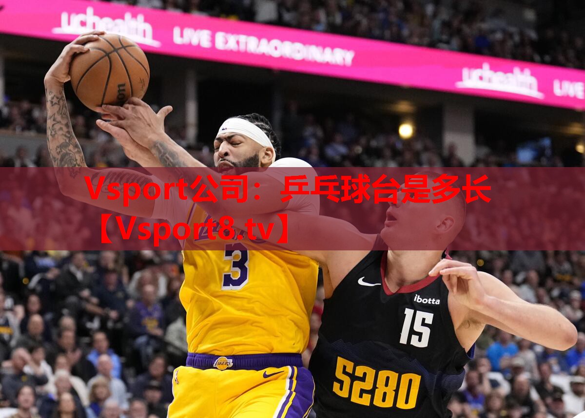 Vsport公司：乒乓球台是多长