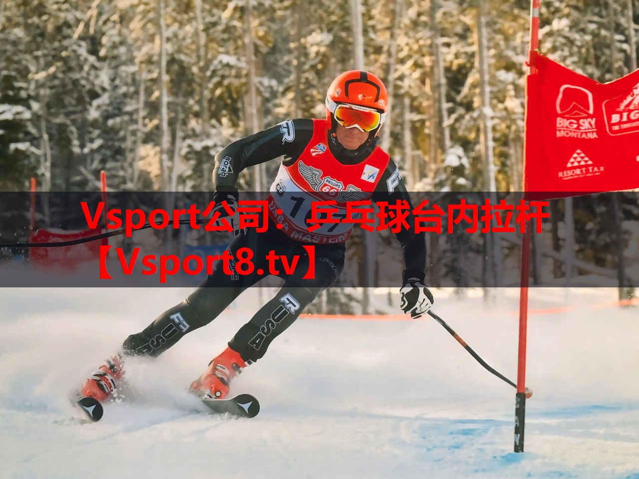 Vsport公司：乒乓球台内拉杆