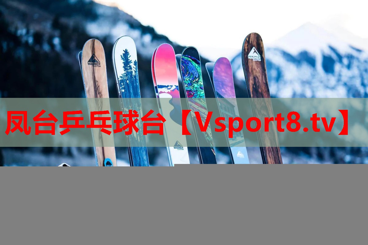 凤台乒乓球台