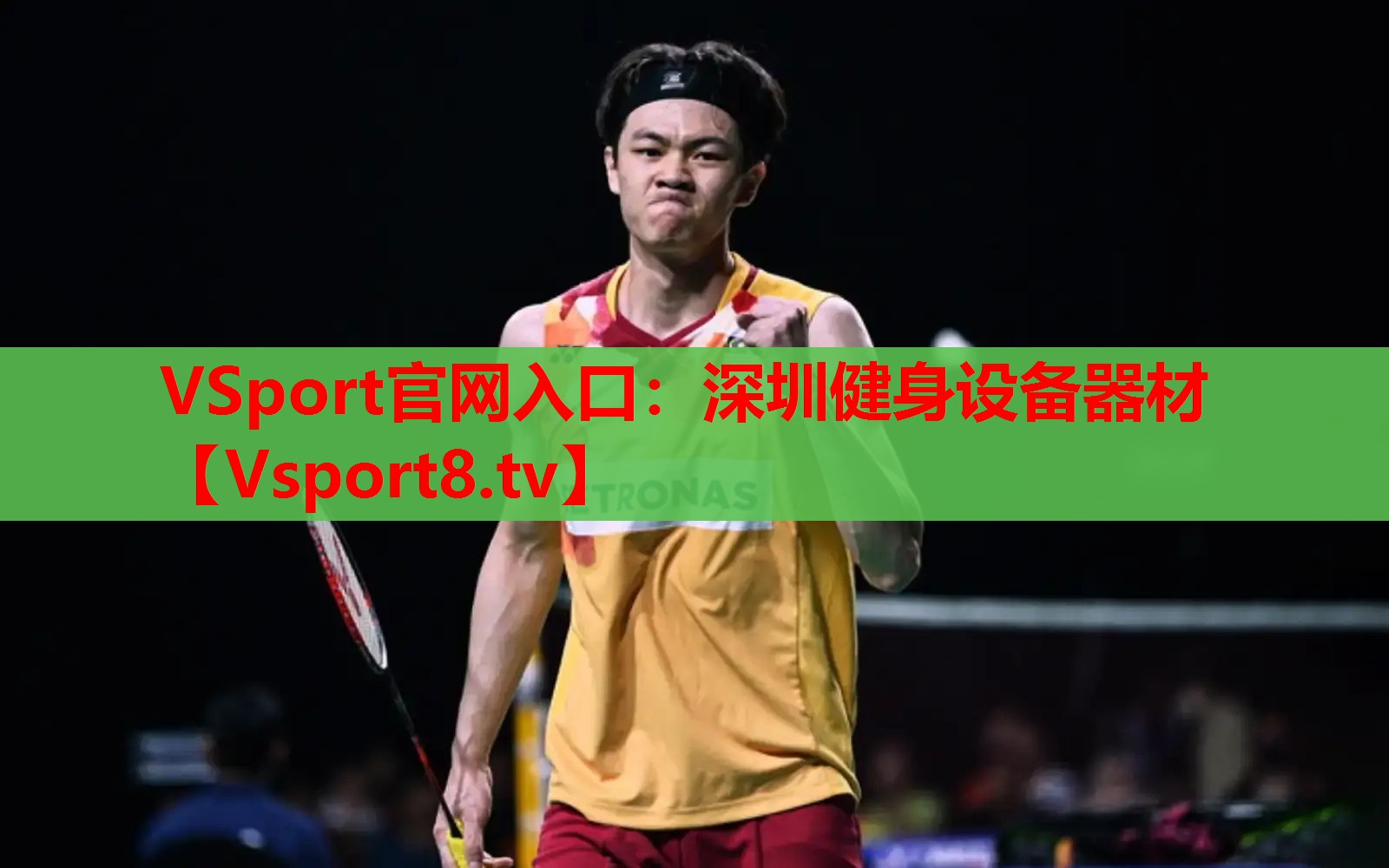 VSport官网入口：深圳健身设备器材