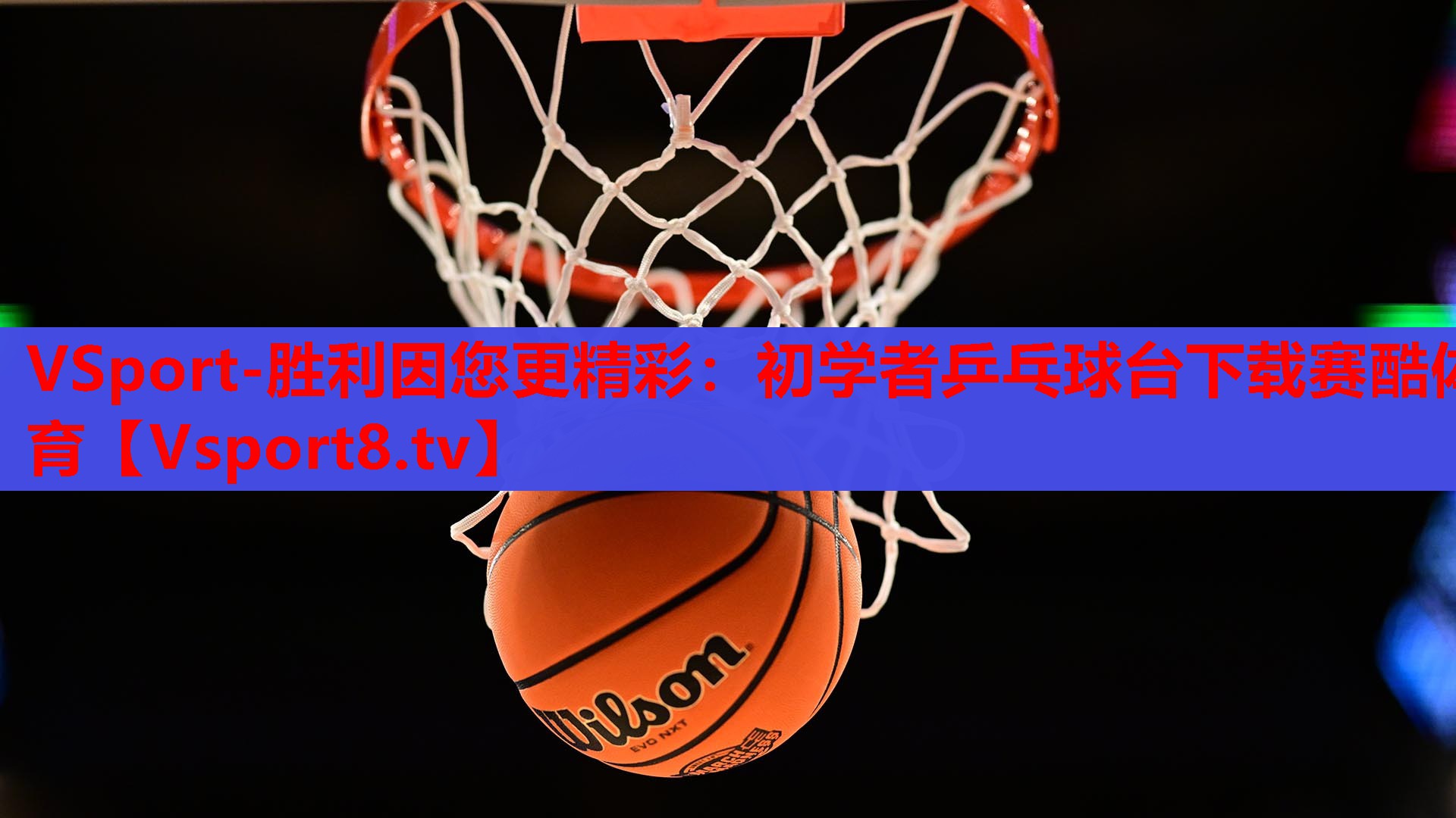 VSport-胜利因您更精彩：初学者乒乓球台下载赛酷体育