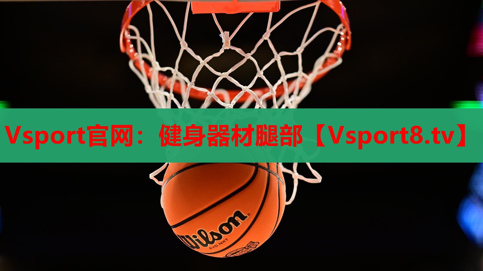 Vsport官网：健身器材腿部