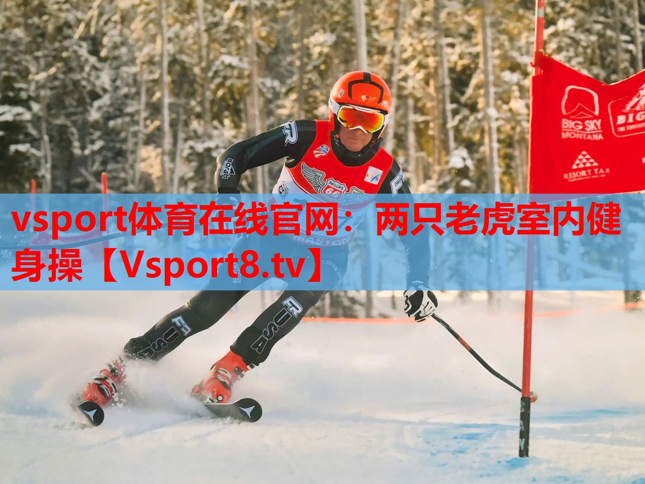 vsport体育在线官网：两只老虎室内健身操