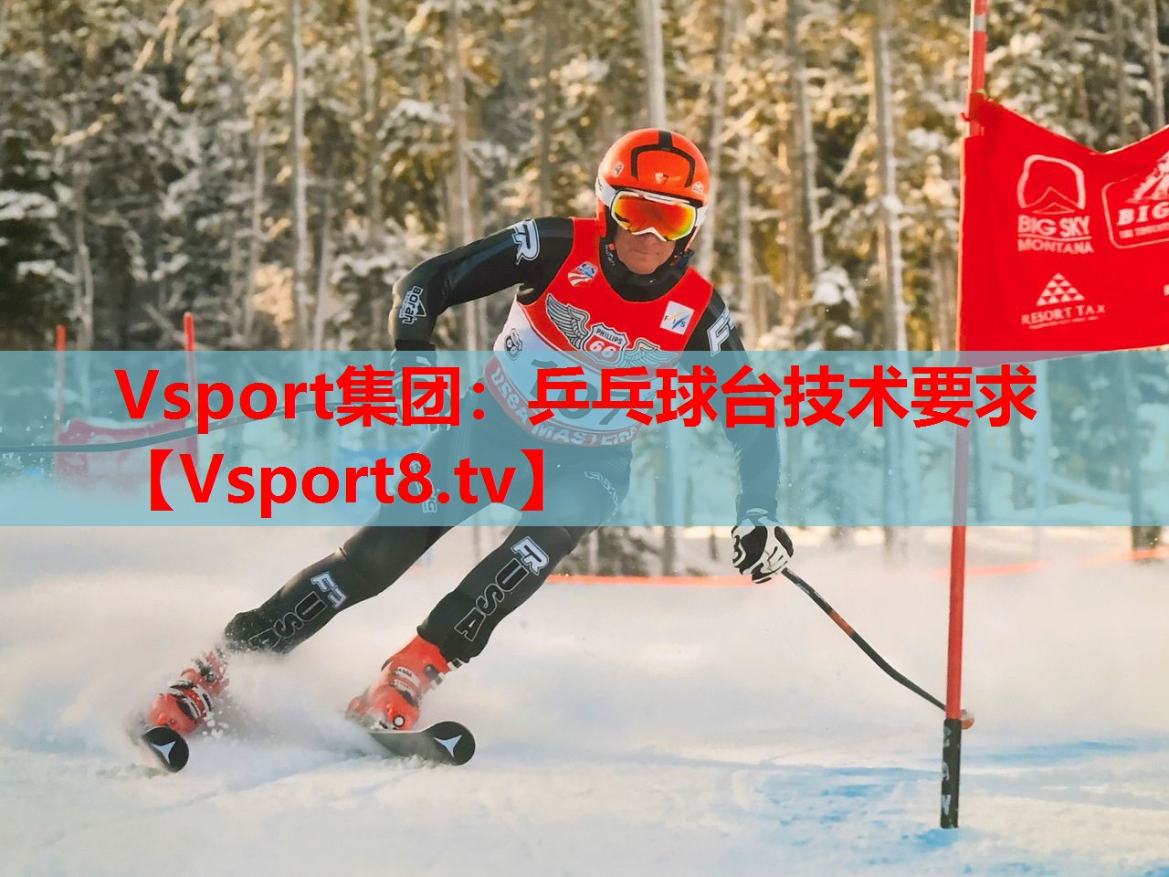Vsport集团：乒乓球台技术要求
