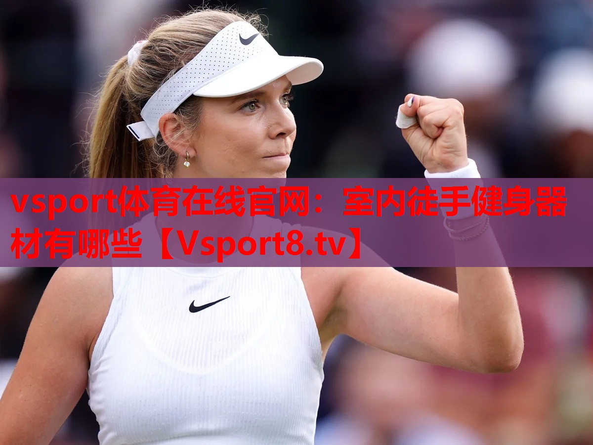 vsport体育在线官网：室内徒手健身器材有哪些