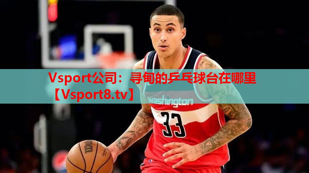 Vsport公司：寻甸的乒乓球台在哪里