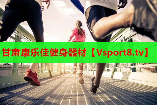 甘肃康乐佳健身器材