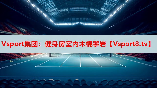 Vsport集团：健身房室内木棍攀岩