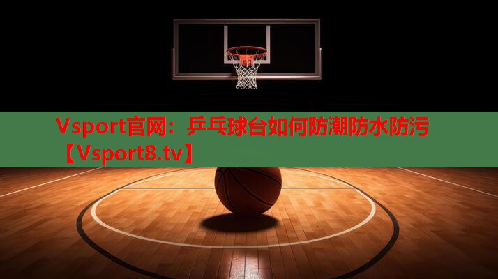 Vsport官网：乒乓球台如何防潮防水防污