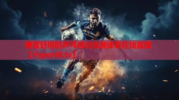 便宜好用的乒乓球台光速体育在线直播