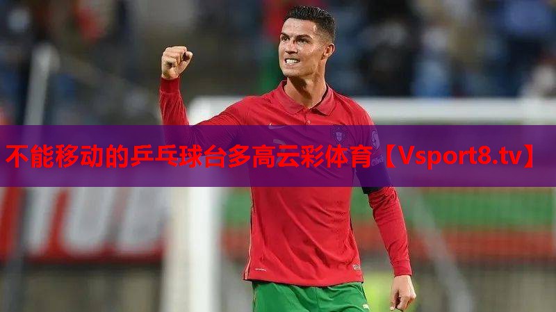 不能移动的乒乓球台多高云彩体育