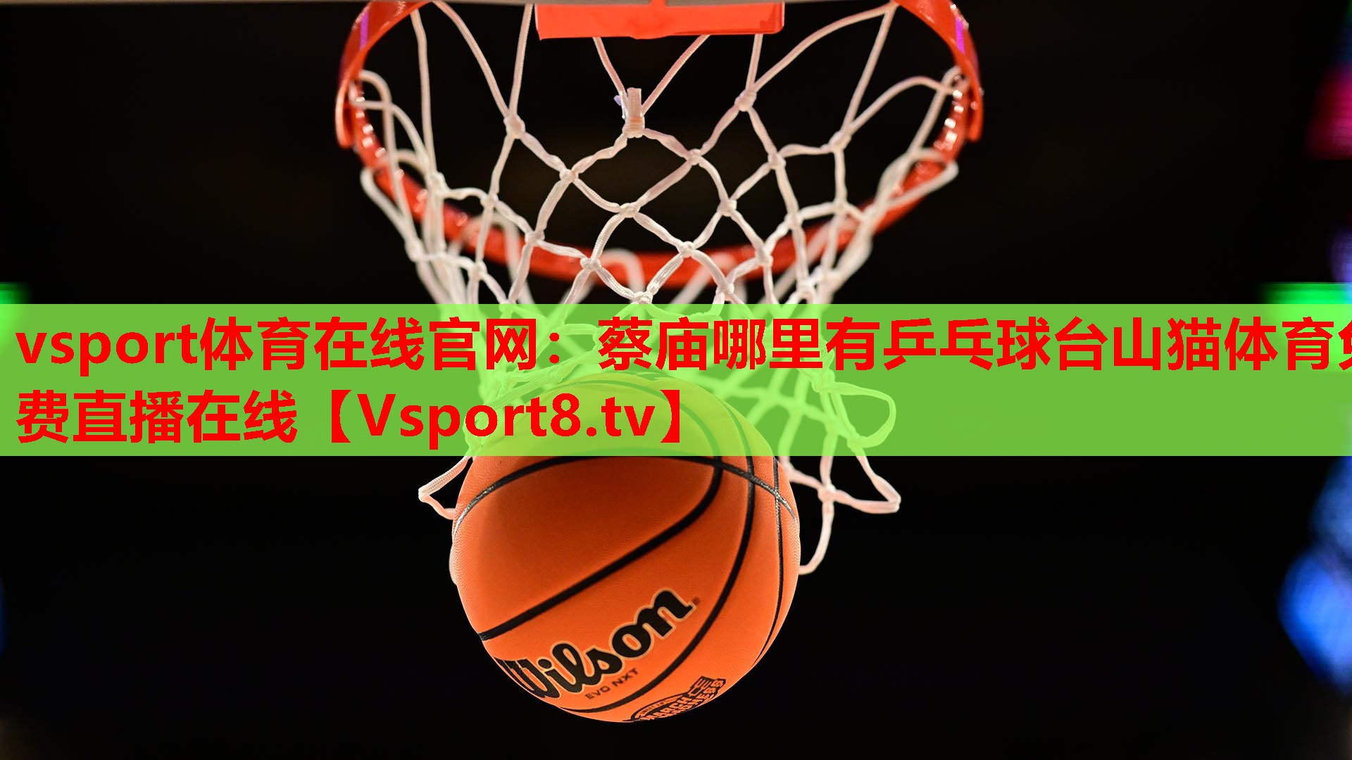 vsport体育在线官网：蔡庙哪里有乒乓球台山猫体育免费直播在线
