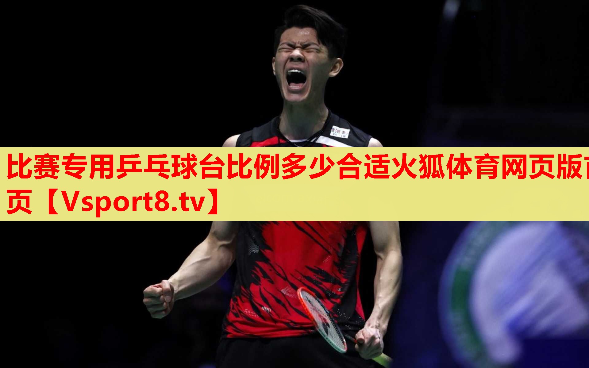 比赛专用乒乓球台比例多少合适火狐体育网页版首页