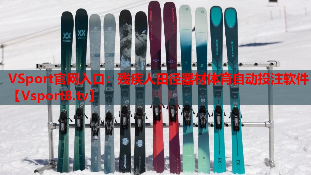 VSport官网入口：残疾人田径器材体育自动投注软件