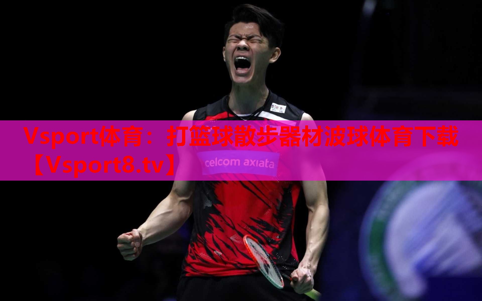 Vsport体育：打篮球散步器材波球体育下载