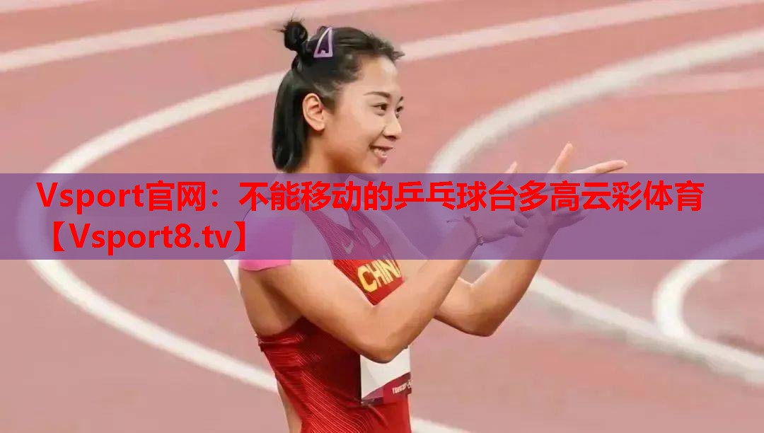 Vsport官网：不能移动的乒乓球台多高云彩体育