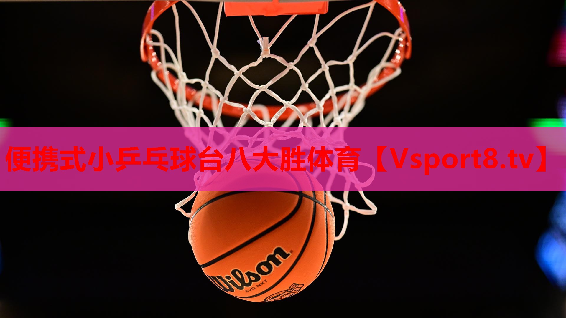 便携式小乒乓球台八大胜体育