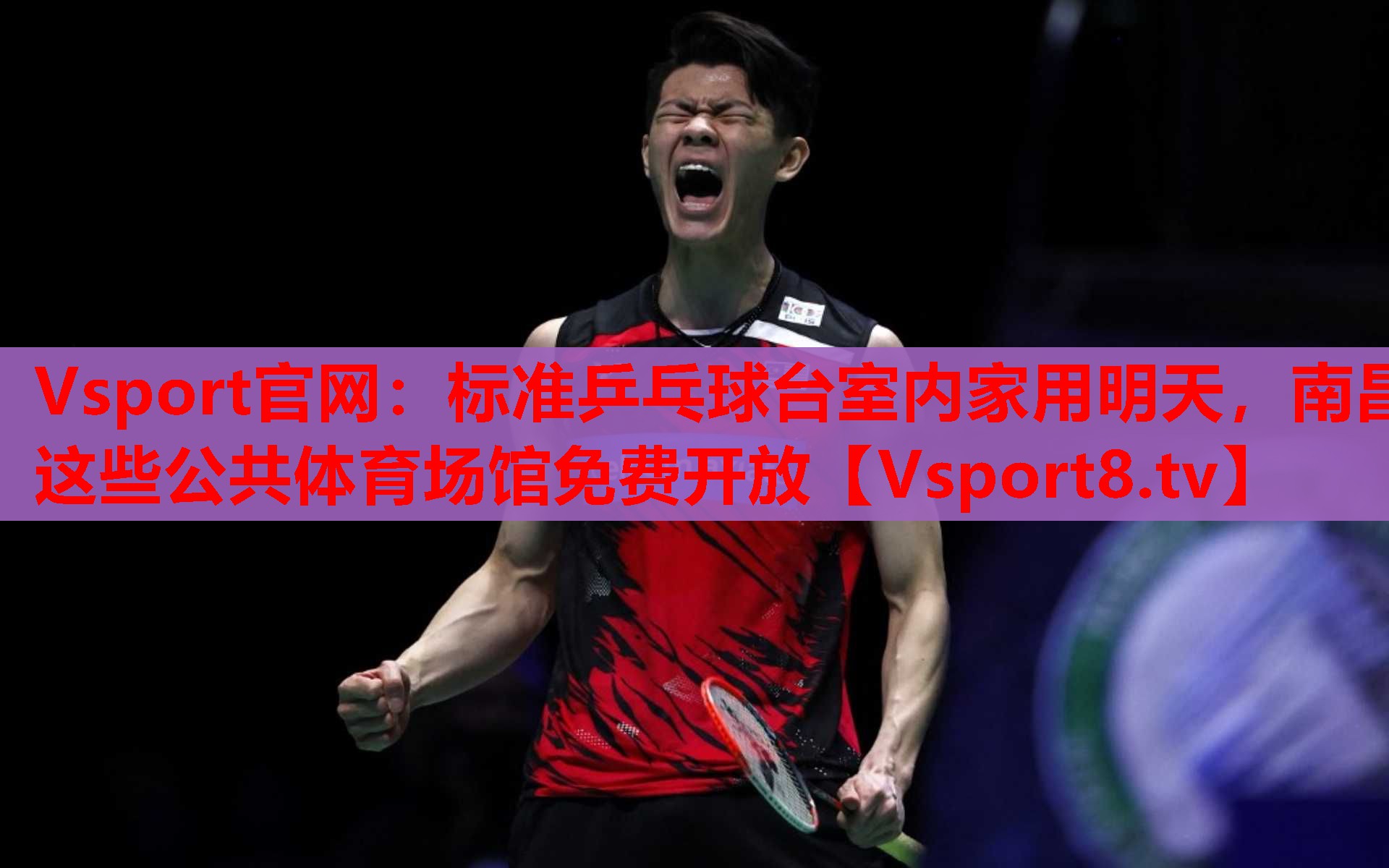 Vsport官网：标准乒乓球台室内家用明天，南昌这些公共体育场馆免费开放