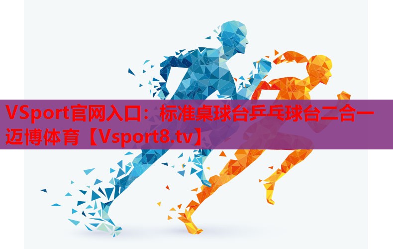 VSport官网入口：标准桌球台乒乓球台二合一迈博体育