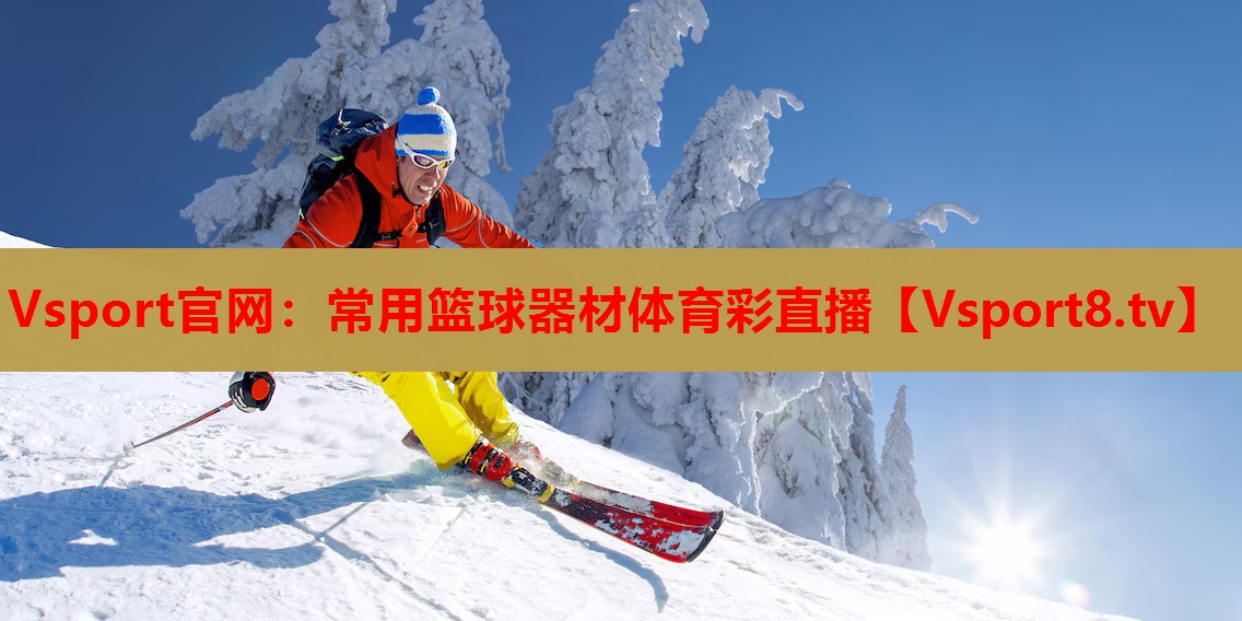 Vsport官网：常用篮球器材体育彩直播