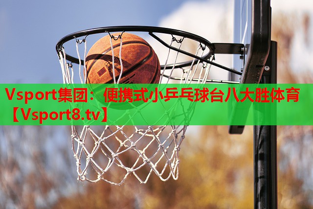 Vsport集团：便携式小乒乓球台八大胜体育
