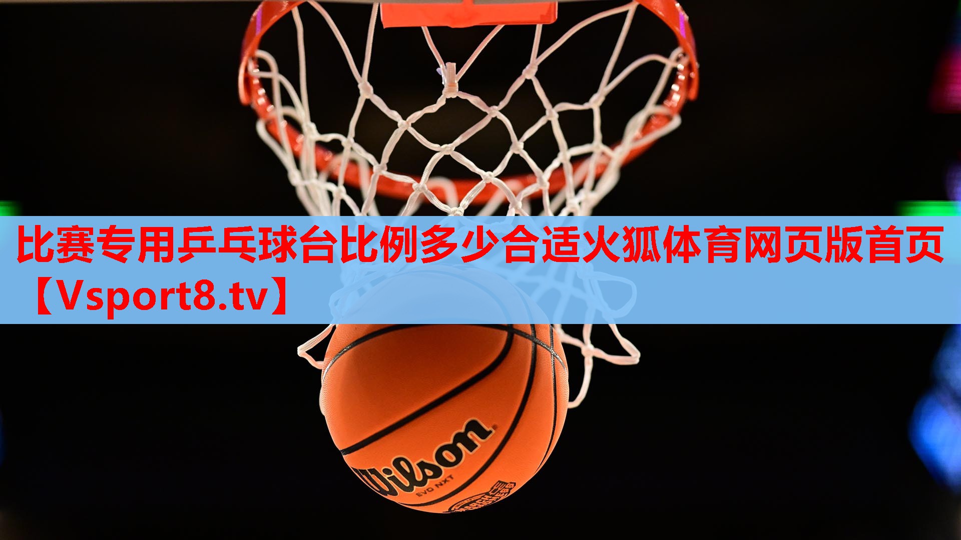 比赛专用乒乓球台比例多少合适火狐体育网页版首页