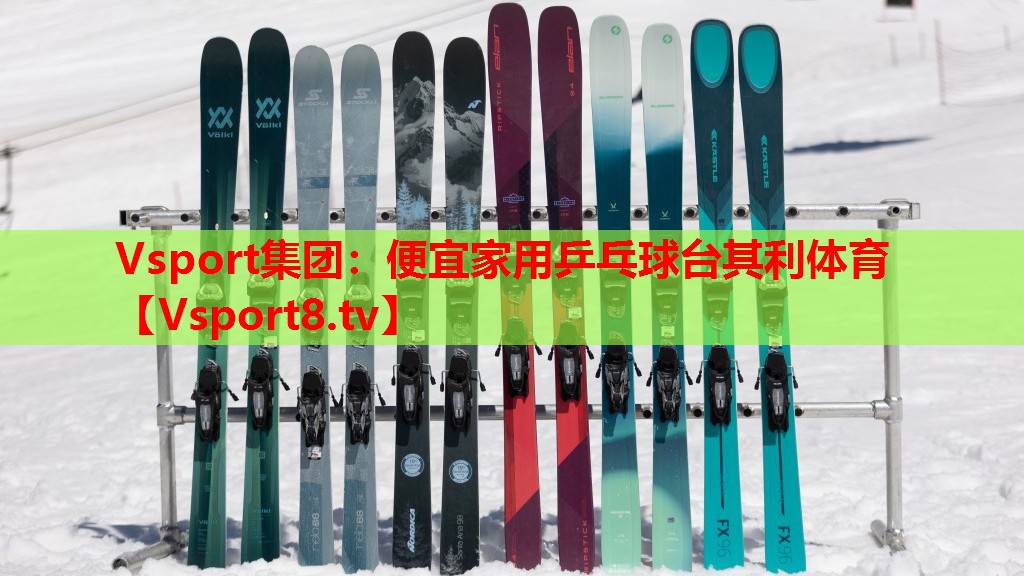 Vsport集团：便宜家用乒乓球台其利体育