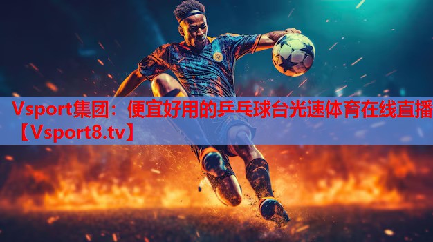 Vsport集团：便宜好用的乒乓球台光速体育在线直播