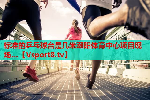 标准的乒乓球台是几米潮阳体育中心项目现场…