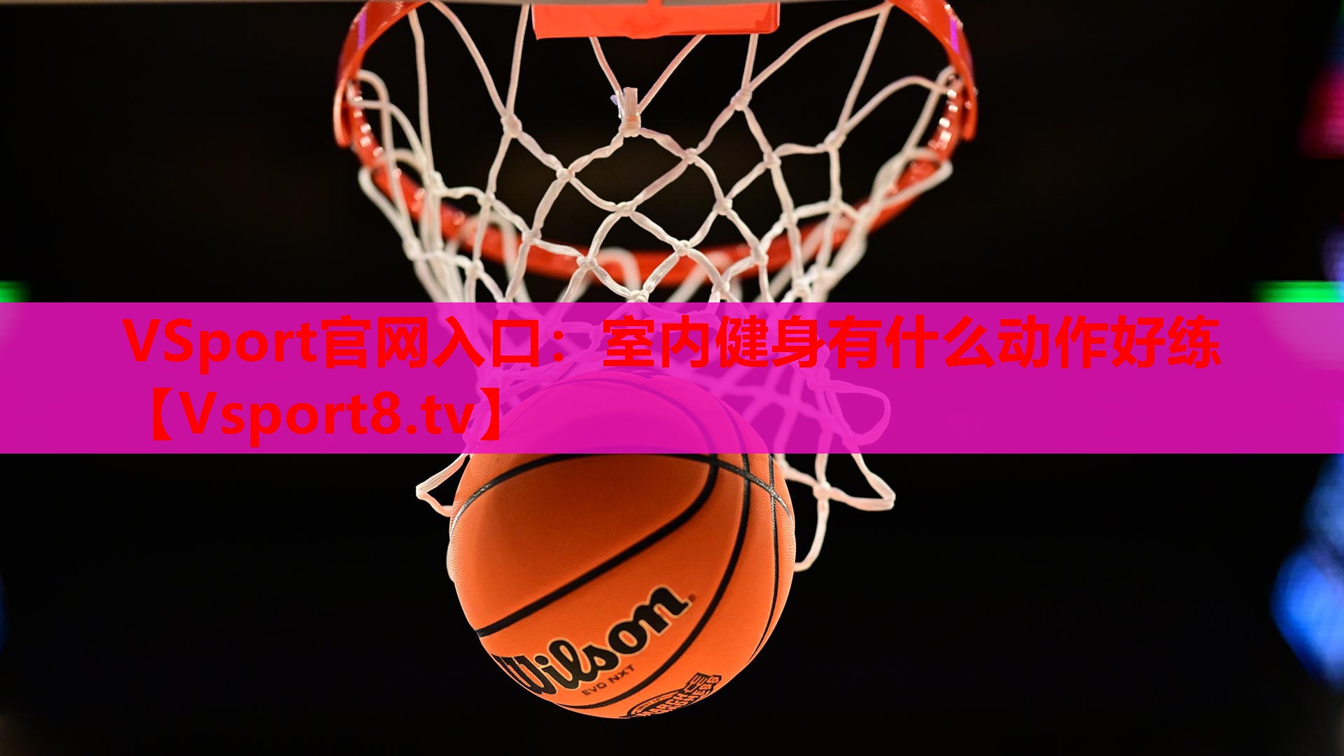 VSport官网入口：室内健身有什么动作好练
