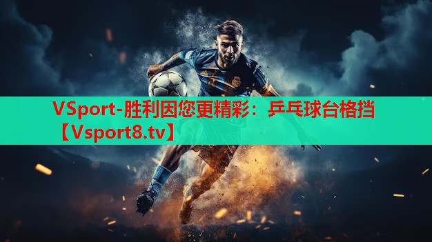 VSport-胜利因您更精彩：乒乓球台格挡