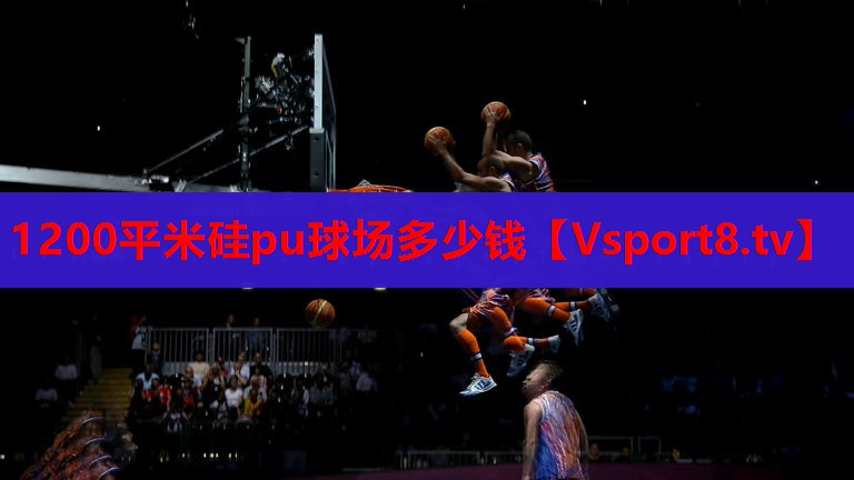 1200平米硅pu球场多少钱