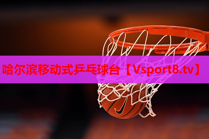 哈尔滨移动式乒乓球台