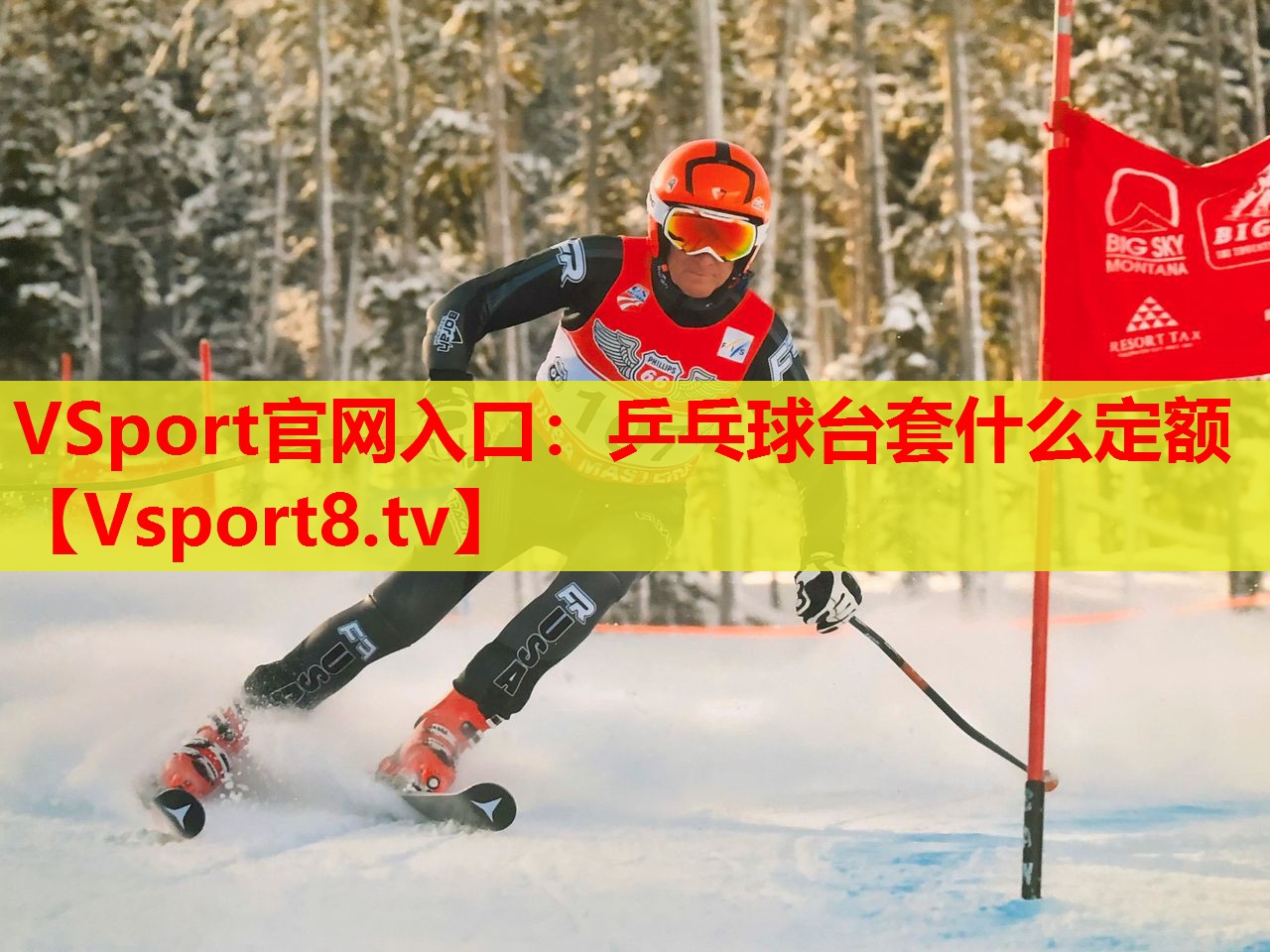 VSport官网入口：乒乓球台套什么定额