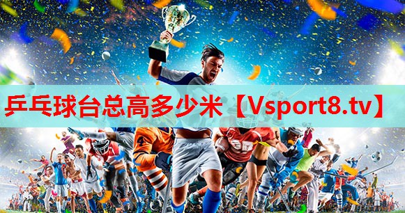 乒乓球台总高多少米