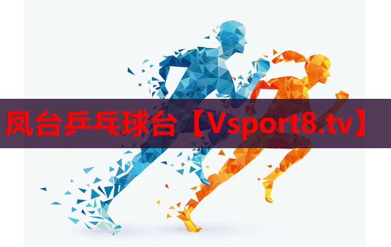 凤台乒乓球台