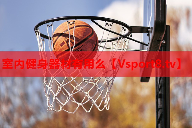 室内健身器材有用么