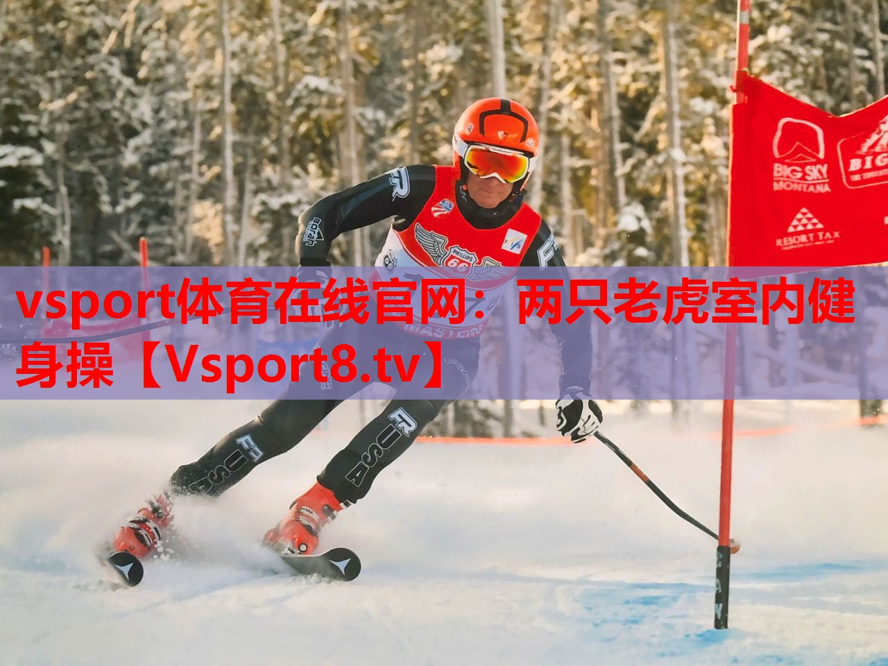 两只老虎室内健身操
