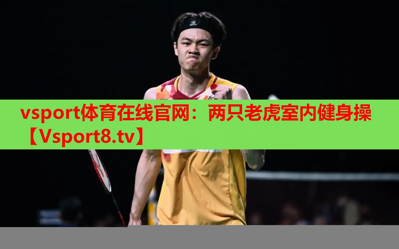 两只老虎室内健身操