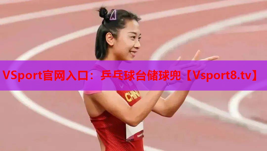 乒乓球台储球兜
