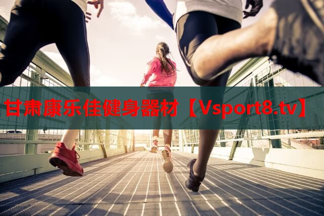 甘肃康乐佳健身器材