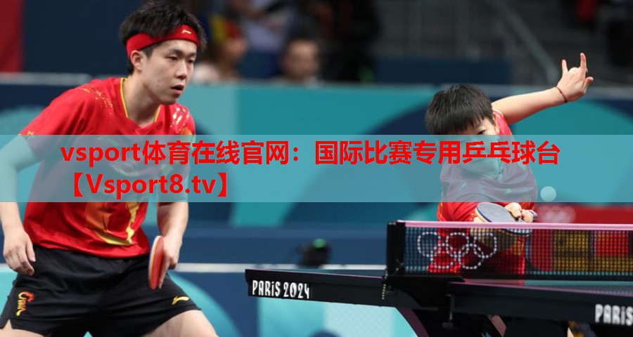 国际比赛专用乒乓球台