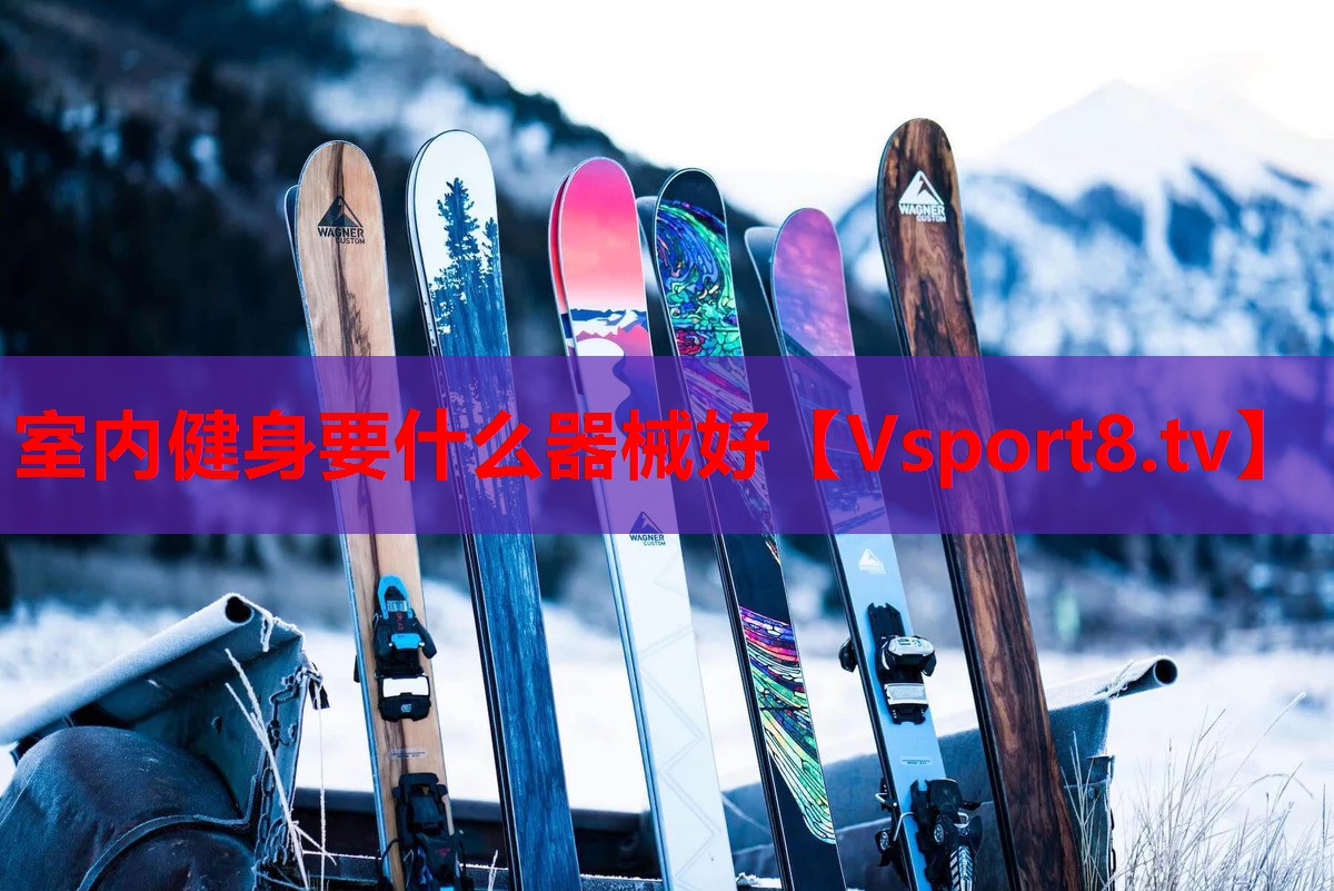 室内健身要什么器械好