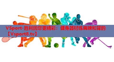 健身器材练肩膀和背的