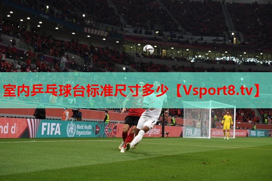 室内乒乓球台标准尺寸多少